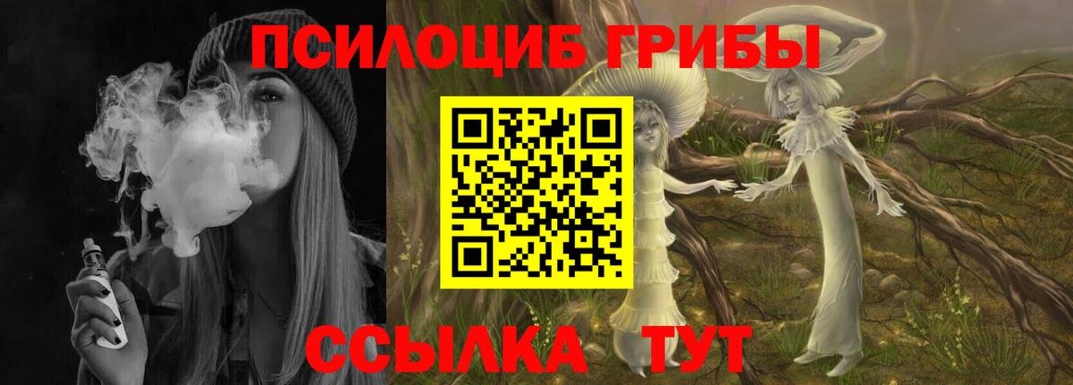 Мценск  Галлюциногенные грибы мицелий  Вход с VPN  Псилоцибиновые грибы ЛСД 